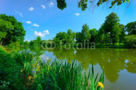 Fototapety Lake landscape