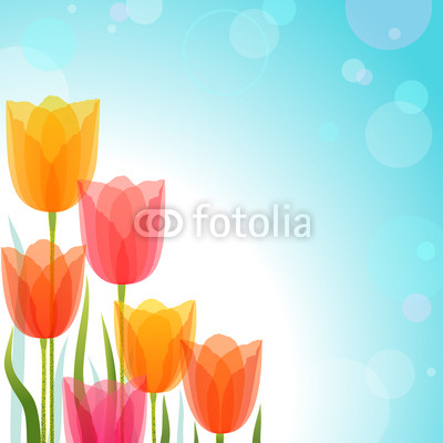 Tulip design