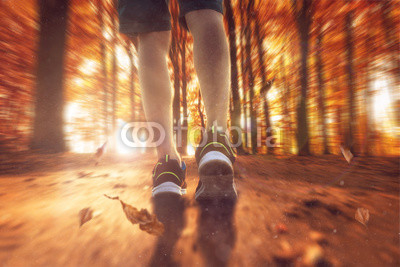Läufer bei Sonnenschein im Herbstwald 