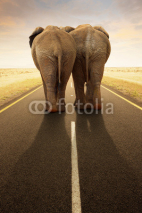 Fototapety Conceptual - Going away together / travel by road