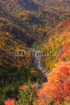 Obrazy i plakaty Fall Mountain Scenic