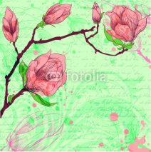 Naklejki Spring background with magnolia flowers