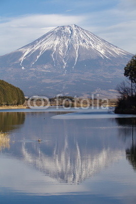 Mountain Fuji in winter season from Lake Tanuki