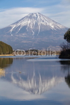 Naklejki Mountain Fuji in winter season from Lake Tanuki