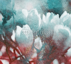 Obrazy i plakaty magnolien textur retro
