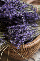 Fototapety Basket of Lavender