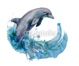 Naklejki dolphin