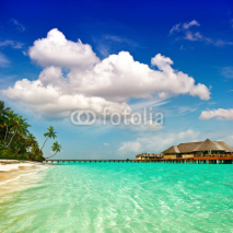 Naklejki palm beach. tropical island landscape