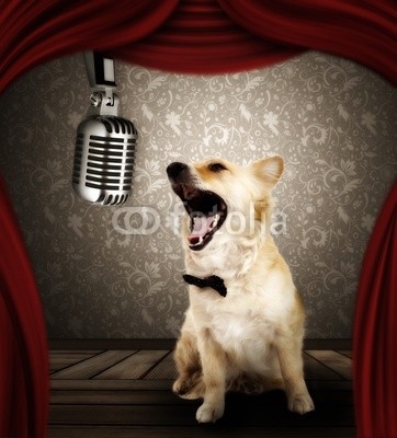 Dog singer