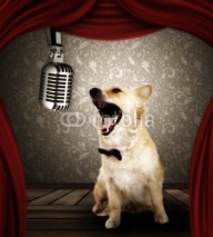 Obrazy i plakaty Dog singer