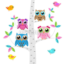 Naklejki Vector set of a colorful owls and birds  at the tree