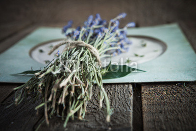 Lavender flowers on vintage background