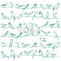 Naklejki Birds Seamless Background - for design and scrapbook - in vector