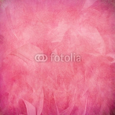 Pink feather abstract