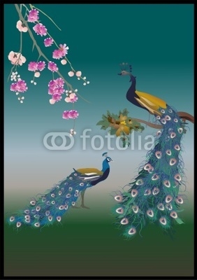 flower branch and two peacocks illustration