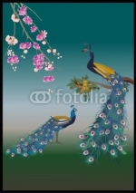 Fototapety flower branch and two peacocks illustration