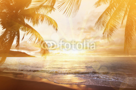Obrazy i plakaty Tropical beach