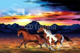 Fototapety Wild Horses Run Illustration