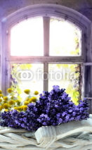 Fototapety Lavendel