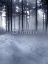 Naklejki Dark Forest
