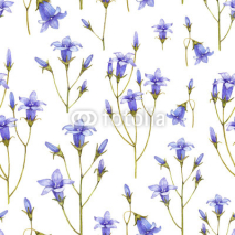 Naklejki Bluebell flower illustration. Watercolor seamless pattern