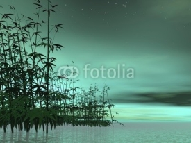 Fototapety Zen nature - 3D render