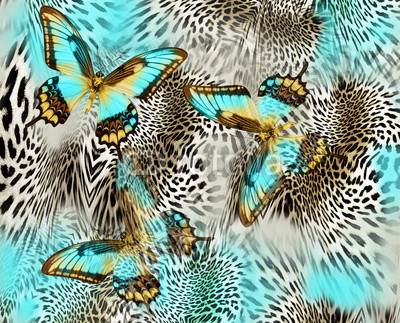 blue butterfly leopard background