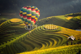 Fototapety Hot air balloon over rice field in Mu cang chai, Vietnam