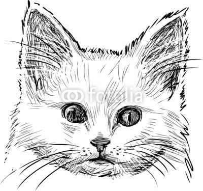 sketch of kitten