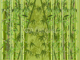 Naklejki lush green color bamboo forest