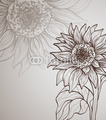 background with sunflower