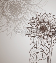 Naklejki background with sunflower
