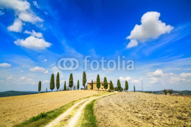 Tuscany farmland, trees and road. Siena, Val d Orcia, Italy.