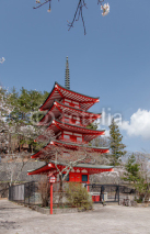 Naklejki Shureito pagoda and full bloom of cherry blossoms, Fujiyoshida