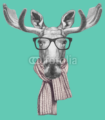 Portrait of Moose with glasses and scarf. Hand drawn illustration.