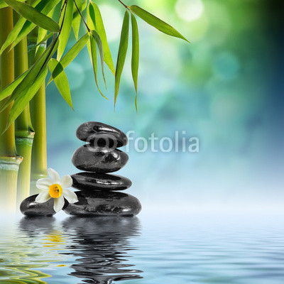 Stones and Bamboo on the water with narcissus flower