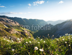 landscape of mountains in spring