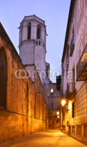 Fototapety Cathedral of the Holy Cross and Saint Eulalia in Barcelona