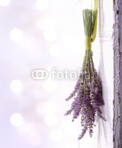 Obrazy i plakaty lavender hanging from an old door
