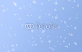 Naklejki Simple abstract Serenity colored background with white flowers. Soft blue spring background, concept of colors.