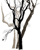 Naklejki old trees drawing  graphic  sketch