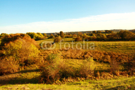 Naklejki Autumnal landscape, rural countryside, Scotland, UK