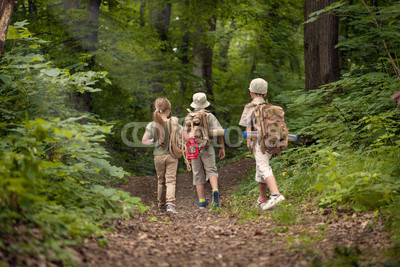 boys and girl on camping trip in the forest exploring