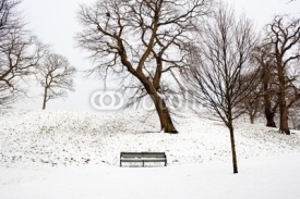 A lonely bench covered in deep snow