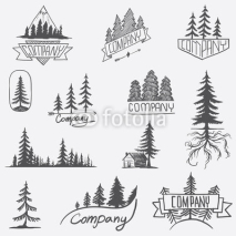 Forest badge tree vector set isolated