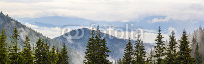 Panoramic view of foggy Carpathian mountains with low clouds