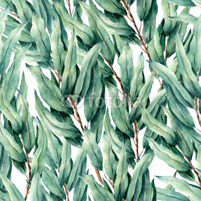 seamless pattern with eucalyptus  leaves.