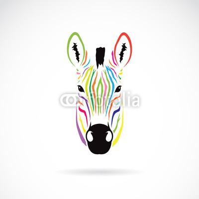 Vector image of an zebra head colorful