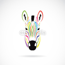 Fototapety Vector image of an zebra head colorful