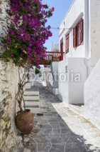 Naklejki Street in Sifnos island, Cyclades, Greece